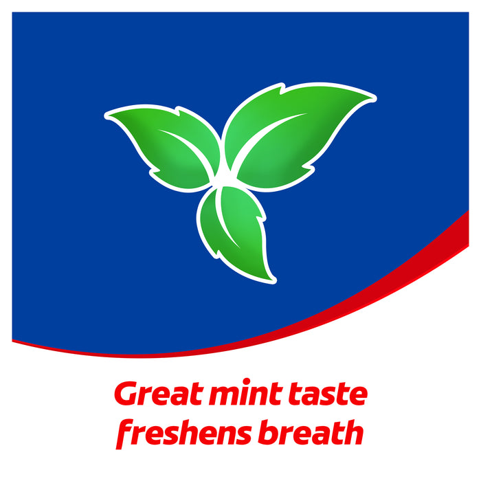 Colgate Toothpaste Regular Flavour 120g