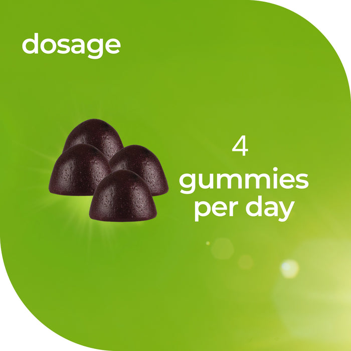 Nature's Way Gummies Debloat + Digestion 80 Pastlles