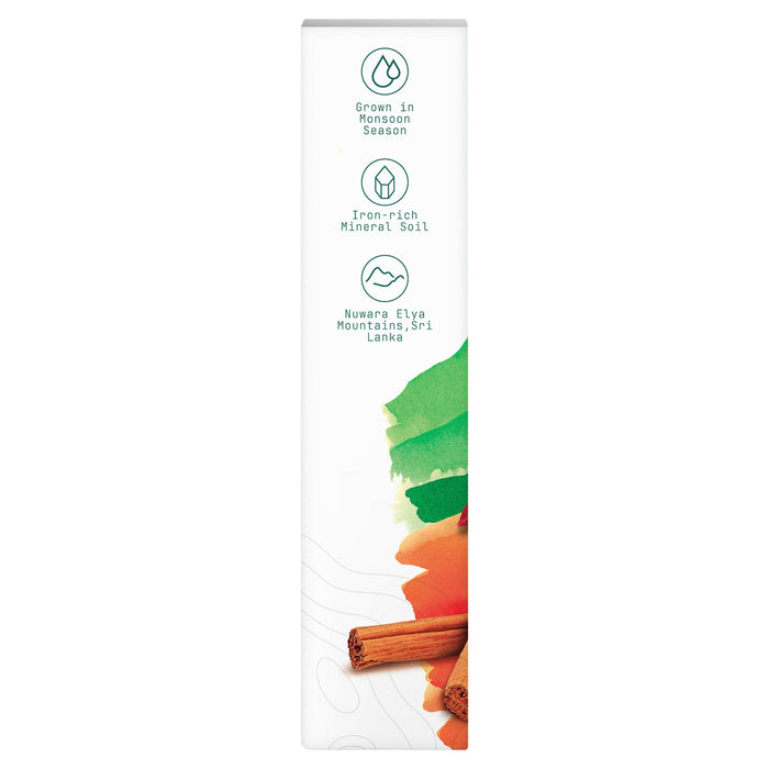 Air Wick Reed Diffuser Botanica Sri Lankan Cinnamon 85ml