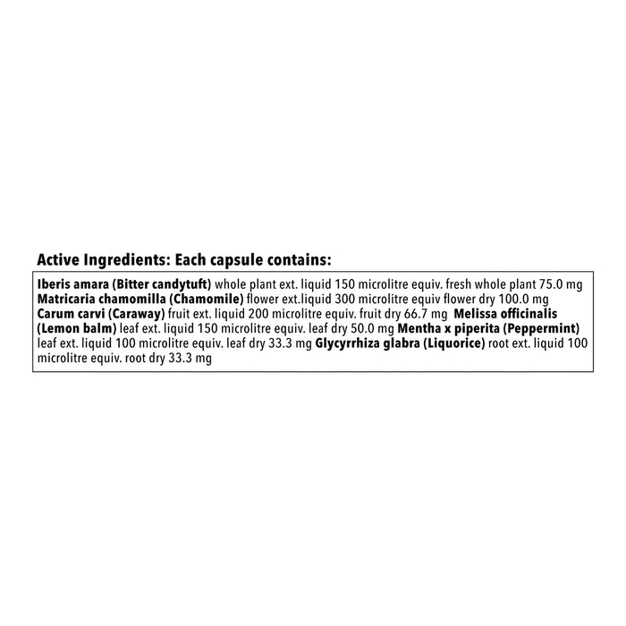 Iberogast IBS & Digestive Relief 60 Softgel Capsules
