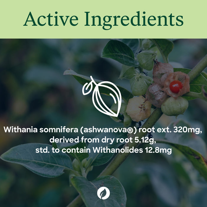 Thompsons Ashwagandha Sustained Release 30 Capsule