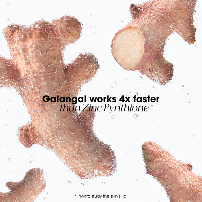 Klorane Anti-Dandruff Rebalancing & Treating Shampoo With Galangal 400ml