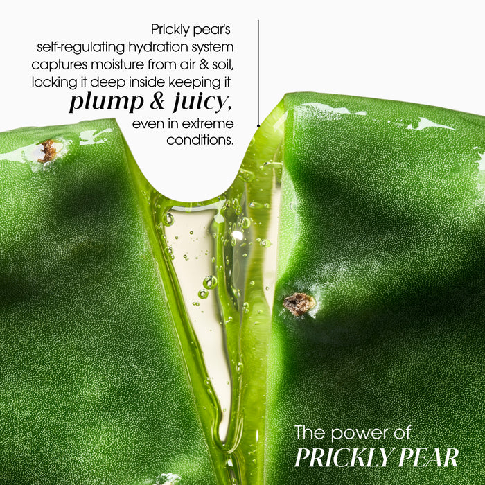 Klorane 72Hr Hydration & Shine Prickly Pear Shampoo 400ml