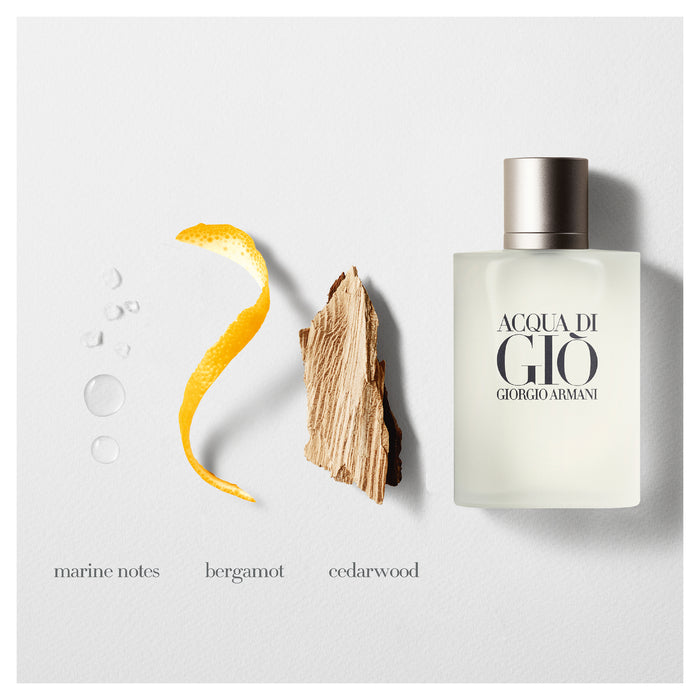 Giorgio Armani Acqua Di Gio Pour Homme EDT 100ml.