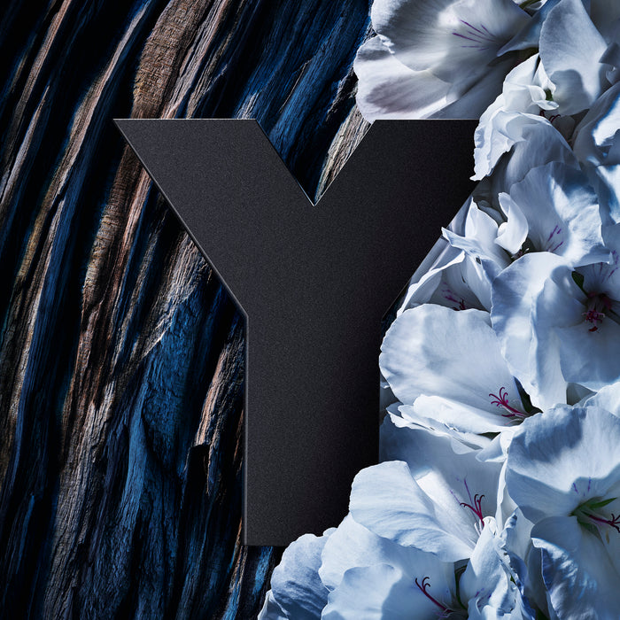 Yves Saint Laurent Y Men L'Elixer Parfum 60ml