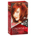 Revlon Colorsilk 42 Medium Auburn.