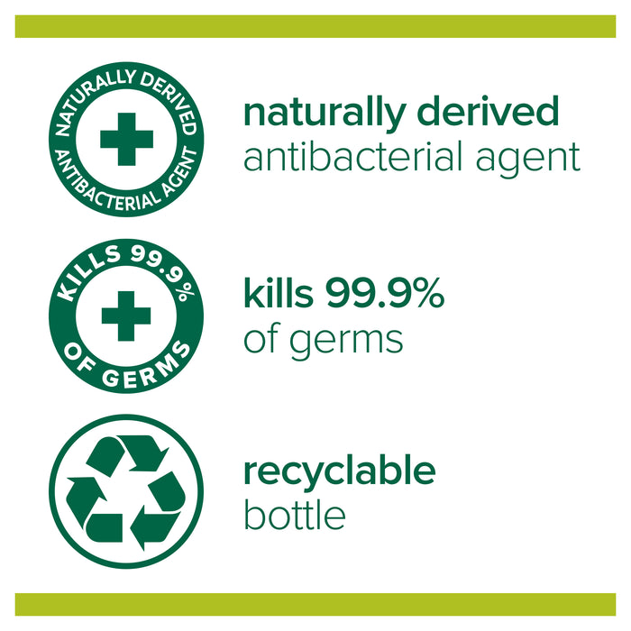 Palmolive Naturals Liquid Hand Wash Antibacterial Lime 250ml.