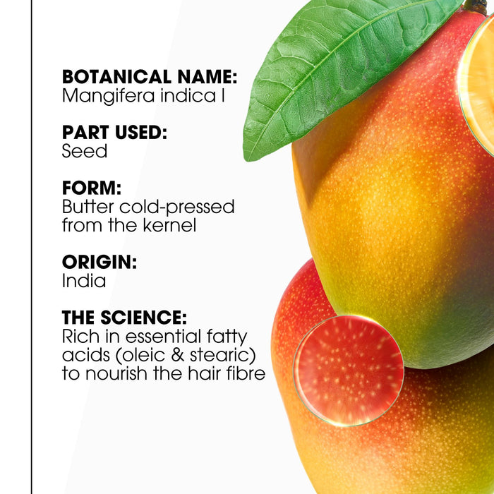 Klorane Mango Butter Shampoo 400ml.