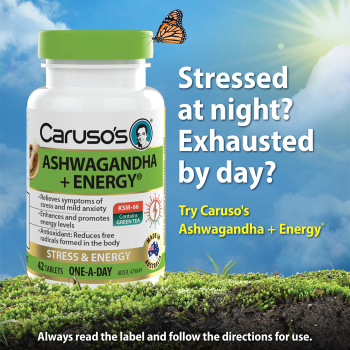 Caruso's Ashwagandha + Energy Tablets 42