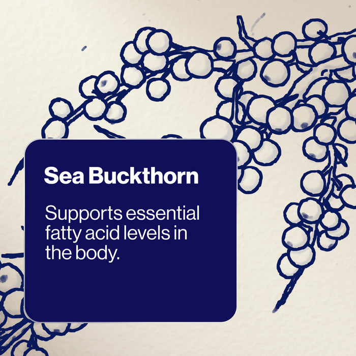 Bioceuticals Alpha Efa 60 Soft Capsules