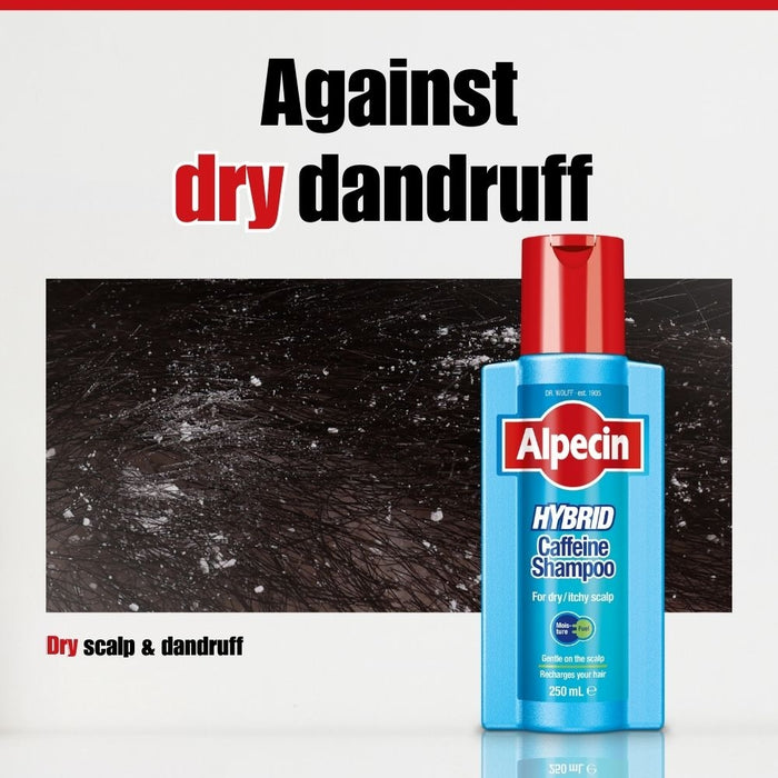 Alpecin Hybrid Caffeine Shampoo 250ml.