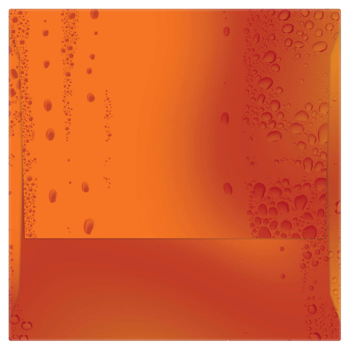 Hydralyte Rehydration Ice Blocks Orange 16