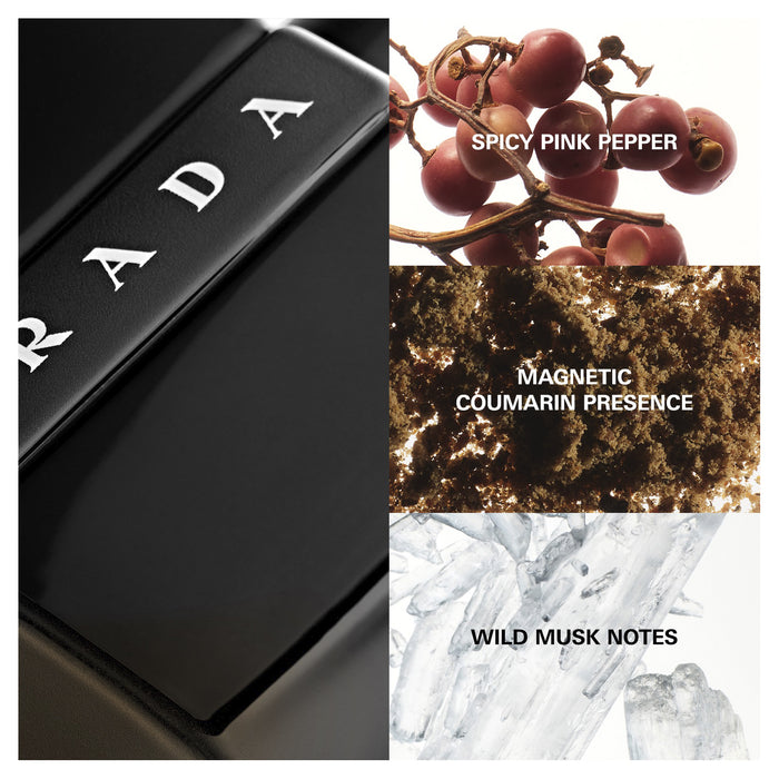 Prada Luna Rossa Black EDP 100ml.