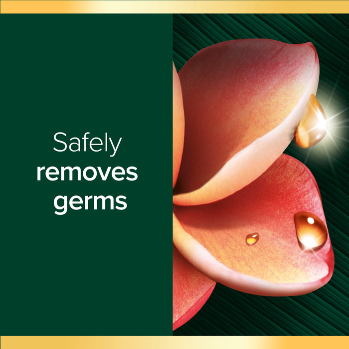 Palmolive Luminous Oils Hand Wash Northern NSW Frangipani & Coconut 500ml