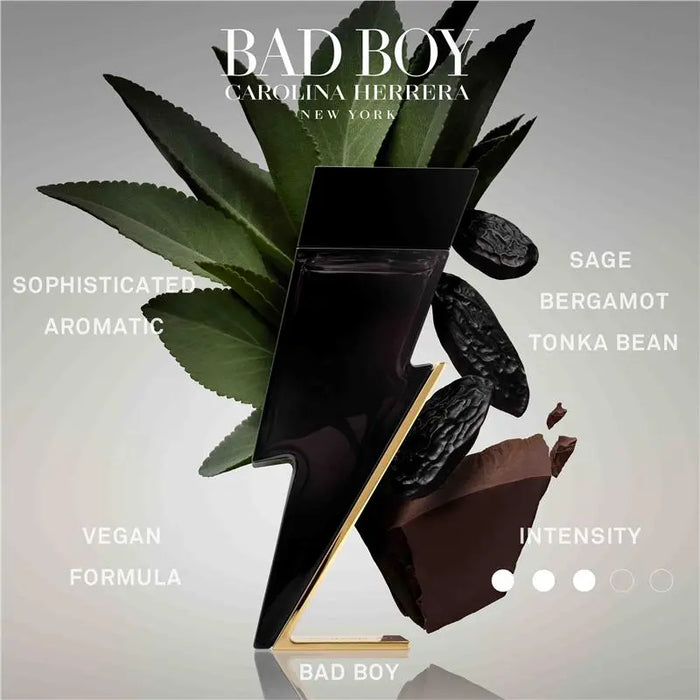 Carolina Herrera Bad Boy EDT 100ml