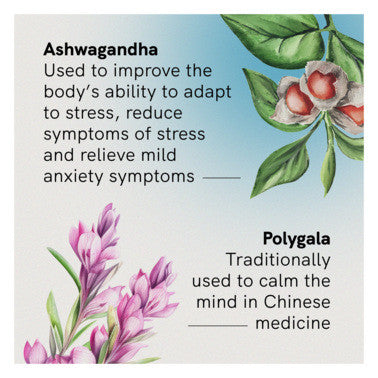 Fusion Stress & Anxiety 30 Tablets