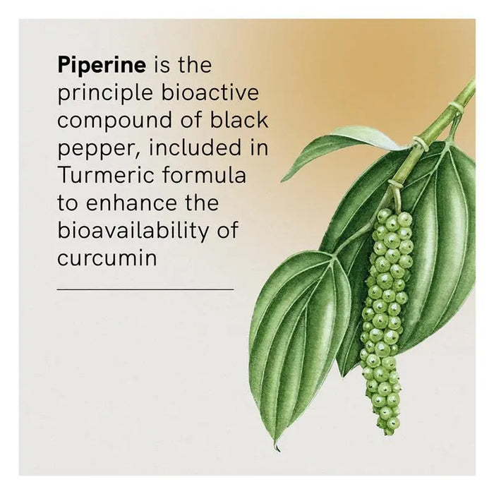 Fusion Turmeric 90 Capsules