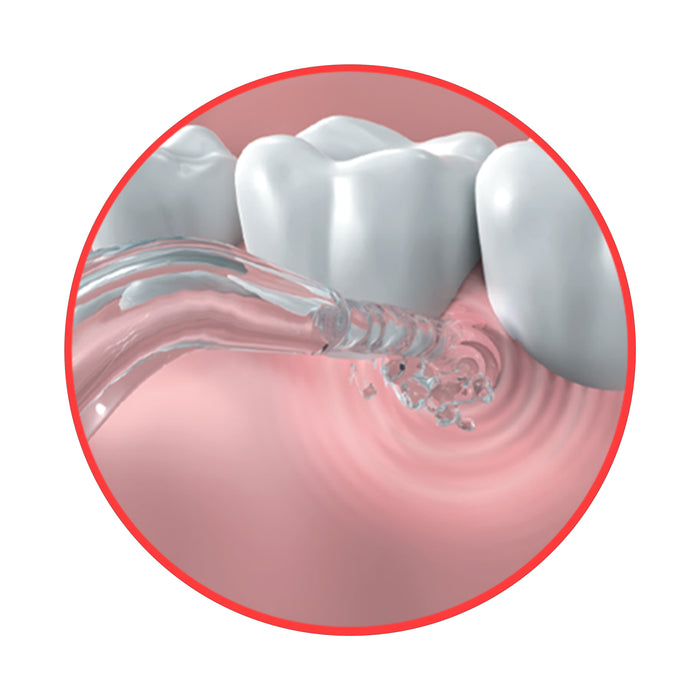 GO2 Dentagenie Water Flosser