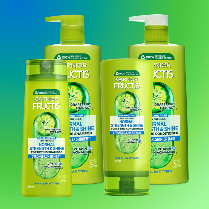 Garnier Fructis Normal Conditioner 315ml