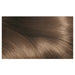 L'Oreal Excellence 6.1 Light Ash Brown.
