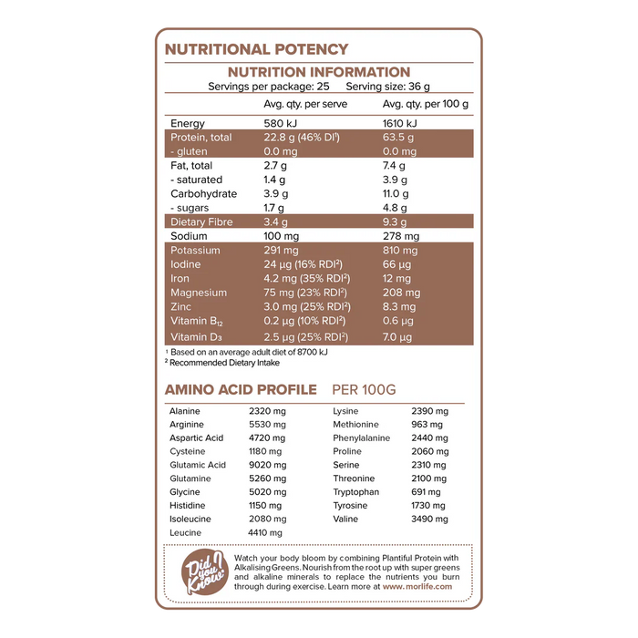 Morlife Plantiful Protein Choc Fudge 440g