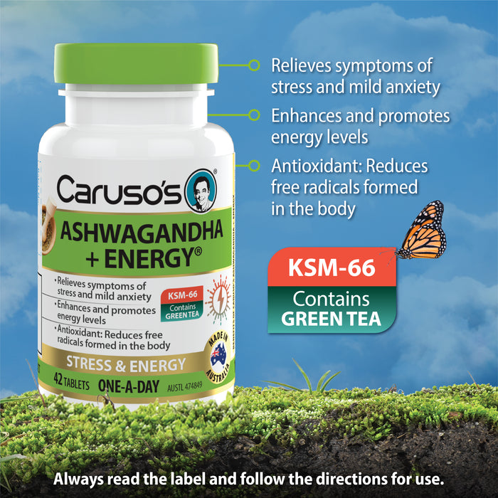 Caruso's Ashwagandha + Energy Tablets 42
