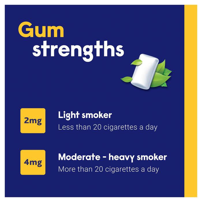 Nicabate Gum 2mg 100.