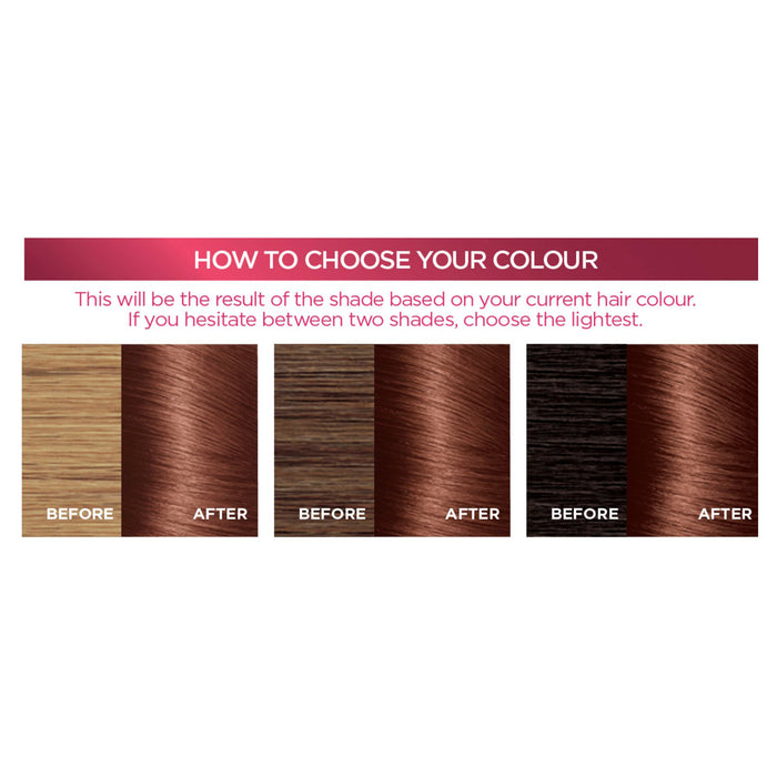 L'Oreal Excellence 5.5 Mahogany Brown