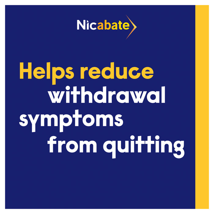 Nicabate Gum 2mg 100