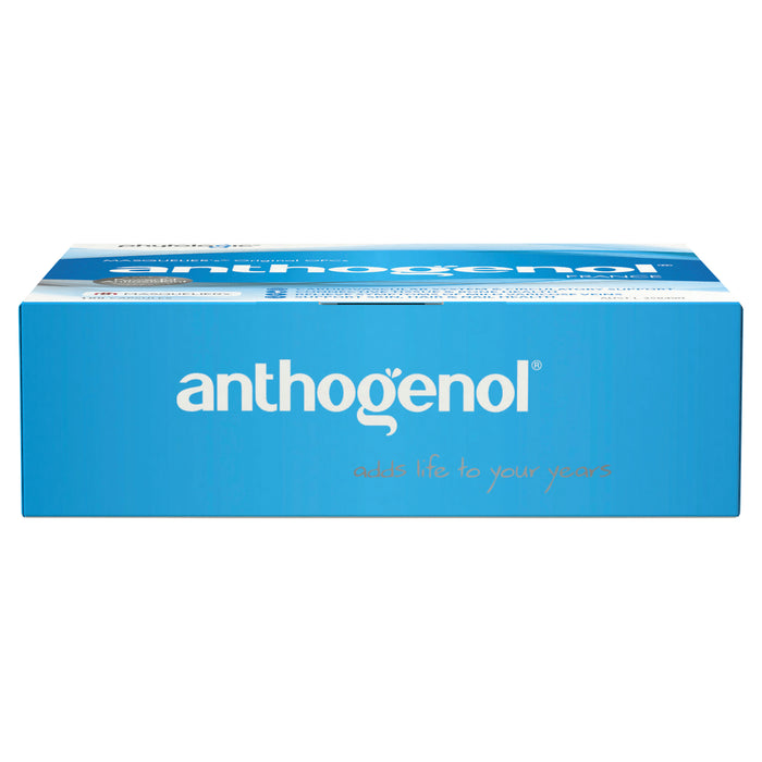 Anthogenol 100 粒胶囊