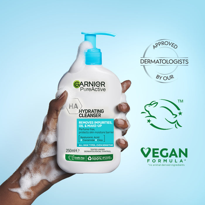 Garnier Skin Active Pure Active Deep Hydrating Foam Cleanser 250ml