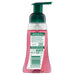 Palmolive Foaming Hand Wash Raspberry 250ml.