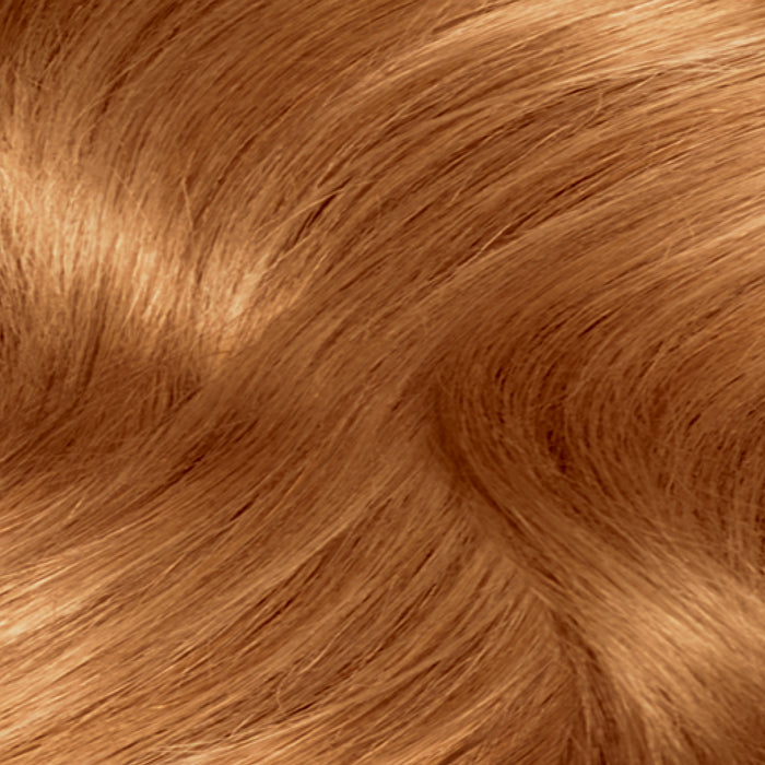 Clairol Nice N Easy 8WR Natural Gold Auburn