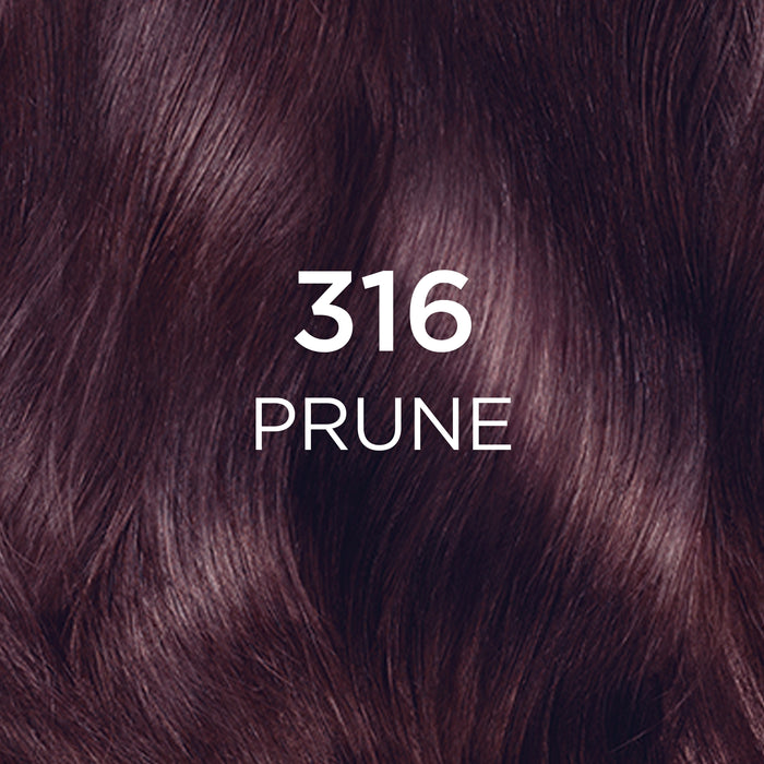 L'Oreal Casting Crème Gloss 316 Plum