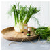 Oil Garden Australian Botanicals Tasmanian Fennel 25ml.