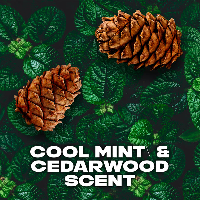 Lynx Body Spray Black Night 165mL.