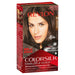Revlon Colorsilk 20 Brown Black.