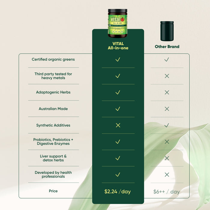 Vital All In One (Lemon & Ginger) 120g