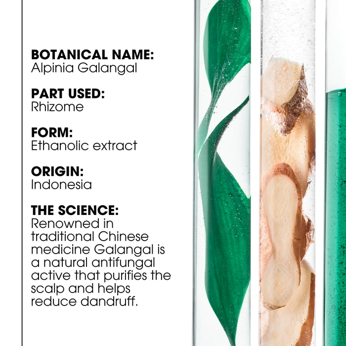Klorane Anti-Dandruff Rebalancing & Treating Shampoo With Galangal 400ml