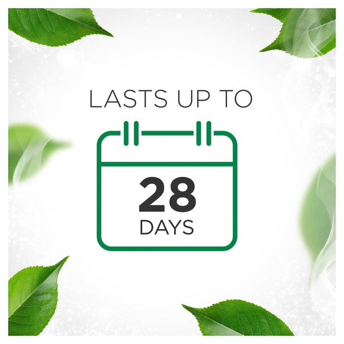 Air Wick Reed Diffuser Pure Seville Orange & Grapefruit