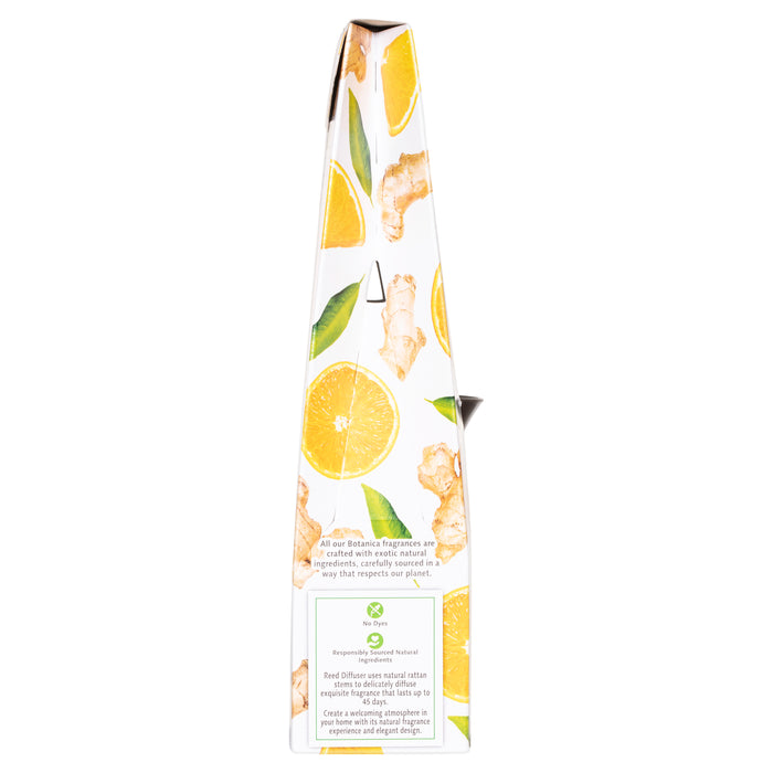 Air Wick Reed Diffuser Botanica Ginger And Italian Mandarin 80ml