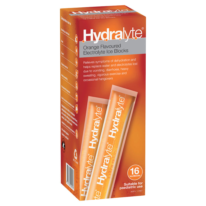 Hydralyte Rehydration Ice Blocks Orange 16