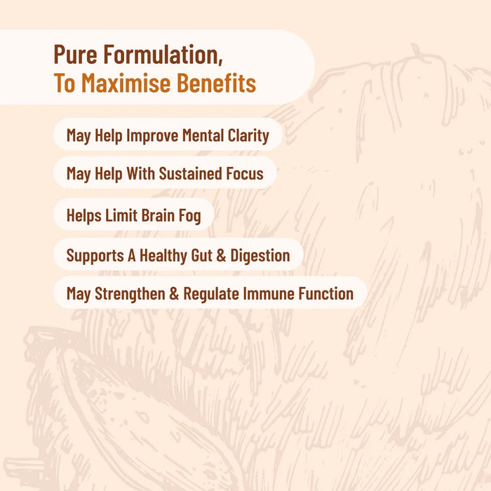 Evolution Botanicals Organic Lions Mane 100g.