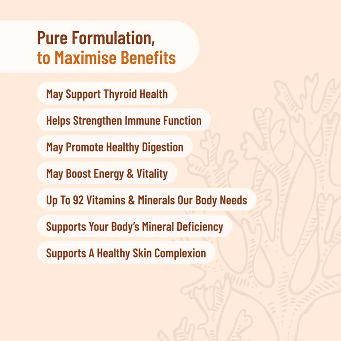 Evolution Botanicals Sea Moss 120 Capsules.
